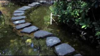 Cliff Richard It&#39;s No Use Pretending