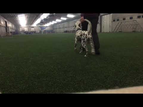 Kjede uten oppvarming 13.01.18