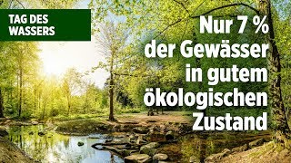 Umweltbundesamt warnt: Um Deutschlands Gewässer steht es nicht gut