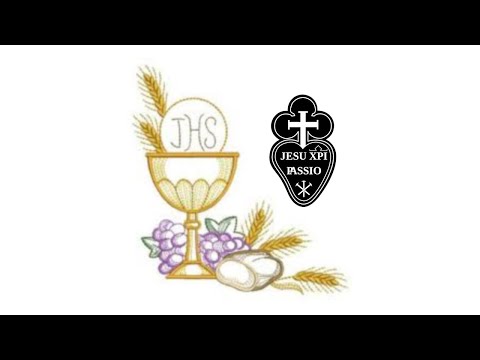 Santa Messa della domenica 1° Comunione del 08/05/2022