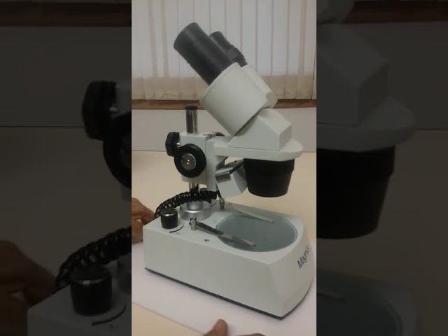 Cooper Instruments - Olympus ICSI Setup (Integra T3 with Nikon or ...