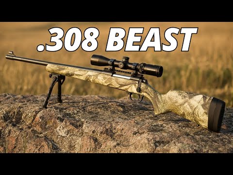 The BEST .308 Rifles EVER MADE!