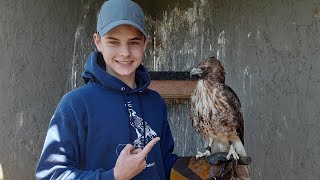 Answering YOUR Falconry Questions