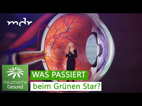 Grüner Star - schmerzlos und heimtückisch | Hauptsache gesund | MDR