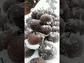 Amazing Frozen Pear In The Snow ️ Fruitlife Nature Pear Snow Satisfying Shorts