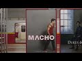 Tiger Shroff Advertise Macho Baniynd