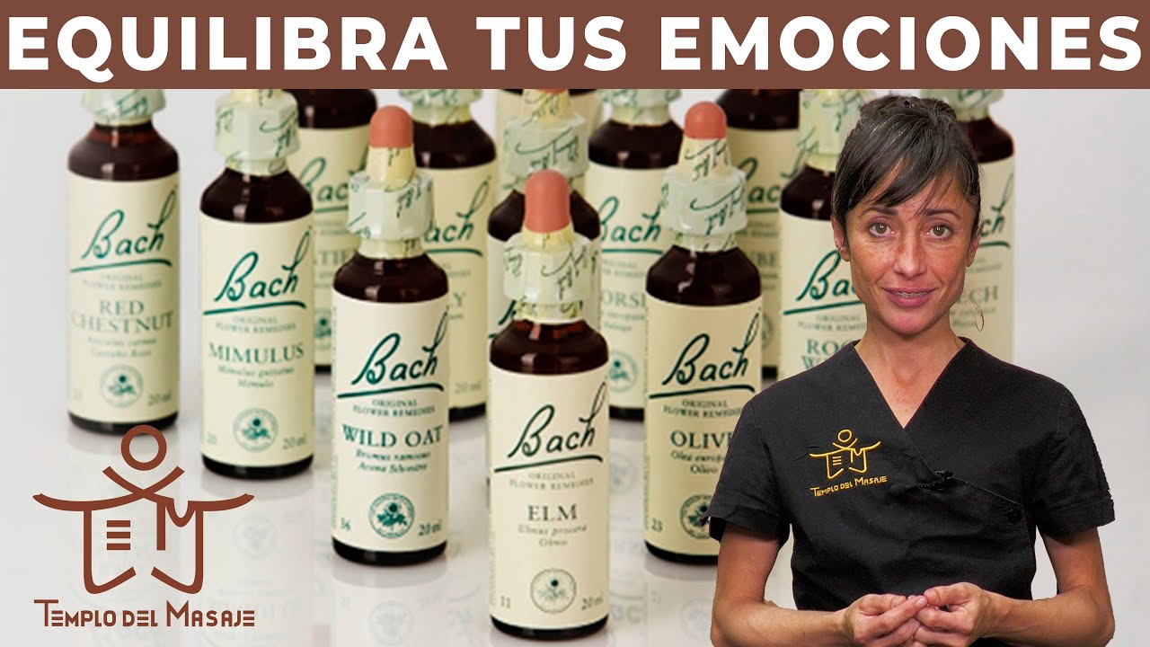 Watch DESCUBRE las FLORES de BACH 🌸| REMEDIO COMPLETAMENTE NATURAL Now DESCUBRE las FLORES de BACH 🌸| REMEDIO COMPLETAMENTE NATURAL
