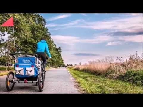 Bildergallery Speedkid2 Qeridoo Fahrradanhänger Kinderwagen