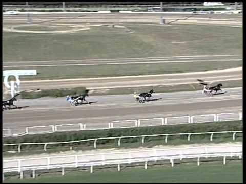 Trotto 23/10/2014 - 1° prova di qualifica