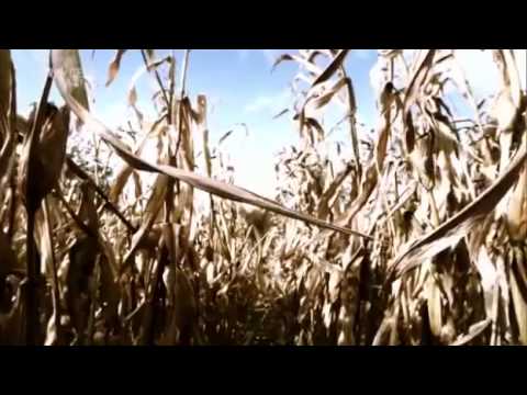 Gibt es eine Phosphor Krise - Ist es das Ende der Menschheit - Teil 1