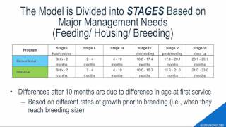 Economic Considerations Regarding the Raising of Dairy Replacement Heifers