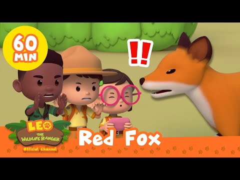 STAY AWAY, SLY FOX! 🦊 | Leo the Wildlife Ranger | Kids Cartoons