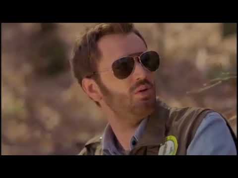 Kud puklo da puklo - Susret Damira i Katarine u šumi