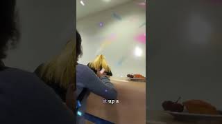 The Most Luxurious Cruise Suite We've Ever Seen - $10,000 Reality #NCLPrima #shorts