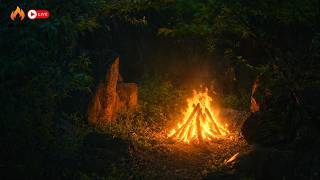 🔥 Healing Nature Sounds | Cozy Mountain Campfire to Stop Overthinking