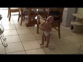 2 Year Old And His Tantrum