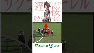 【目が覚める様な末脚】 #サクラローレル #マヤノトップガン #オールカマー #競馬 #シンデレラグレイ #うま娘