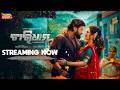 Chardham Streaming Now Anubhav Mohanty Anuradha Panigrahi New Odia Movie Tarang Plus