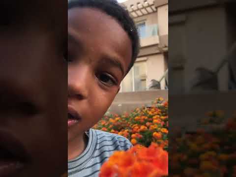 pick flowers with me😍