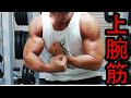 ハンマーカールで上腕筋トレ!【トレーニング日記】
