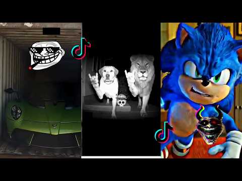 Coldest Troll Face Compilation | TikTok Trolling Phonk | Part 017