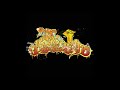 Ill Devastation ST EP 2021 Full EP
