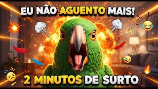 Bino surtando por 2 minutos sobre a vida real 😂🦜