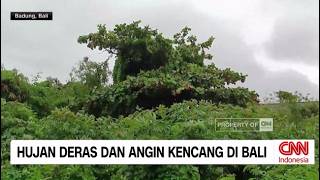 Download lagu Hujan Deras & Angin Kencang Melanda Bali mp3
