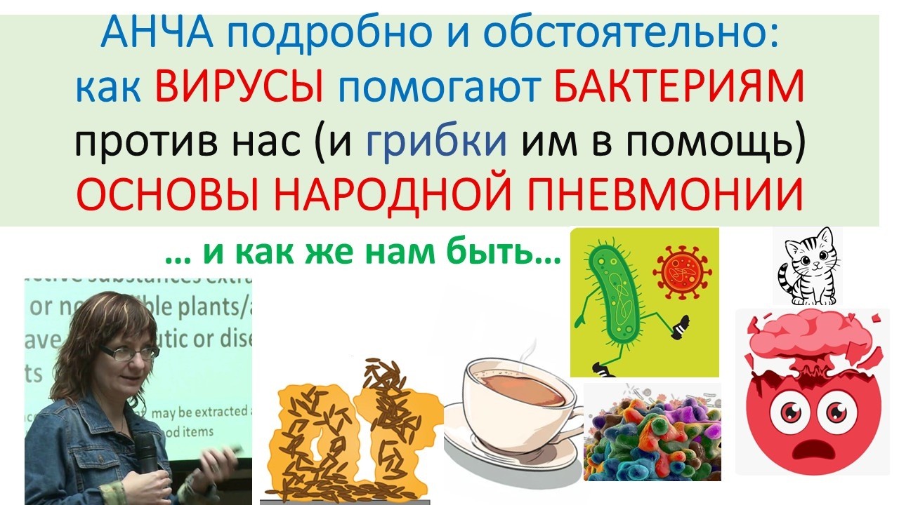 ВИРУСЫ верхом на БАКТЕРИЯХ (и грибки погоняют!)