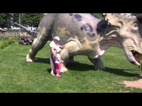 Stacja Port 2000 w Mostkach koło Świebodzina