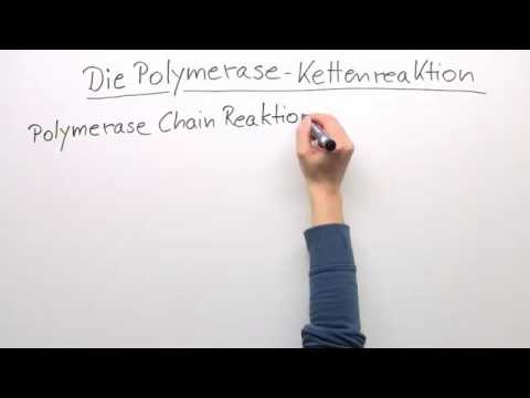 PCR | POLYMERASEKETTENREAKTION | Biologie | Genetik und Entwicklungsbiologie