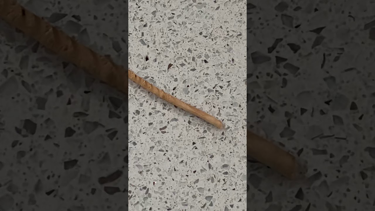 Determining Tree Age from a Core Sample