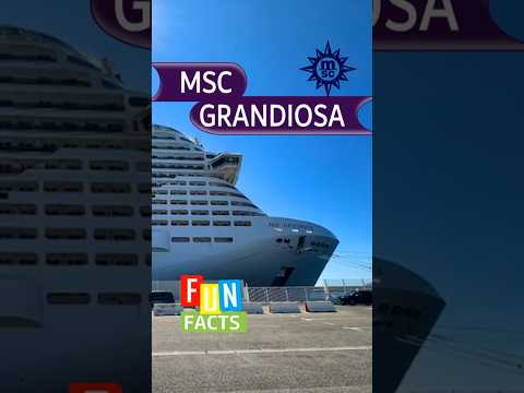 Thumbnail for I Wish I Knew This Before I Cruised on MSC Grandiosa. #holiday #cruise #travel
