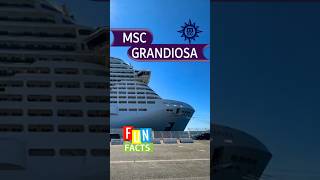 I Wish I Knew This Before I Cruised on MSC Grandiosa. #holiday #cruise #travel