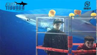 DIA 2 Expo Tiburon211