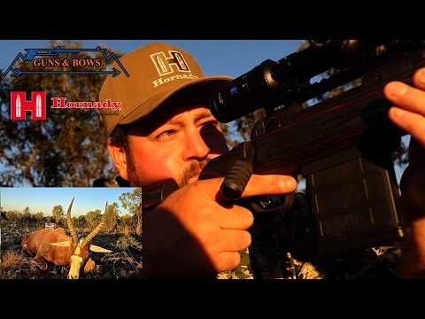 🔥 Hornady Ammunition Review | Is It Really That Good? 🎯