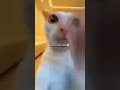 Hazır Mısın Oooooooo Kudur Kudur Baby Haydi Alla Pulla Beni Salla Salla Baby Bak Ne Hale Koydun B