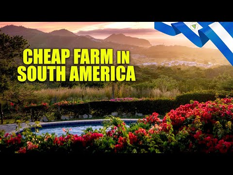5 CHEAPEST Countries TO BUY FARM Land IN SOUTH AMERICA 🌽 Farming in South America