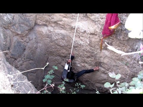 Puppy rescued from 50 ft fall has a happy ending