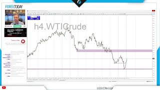 Forex.Today  |  How To Become A Master Trader with just One Penny