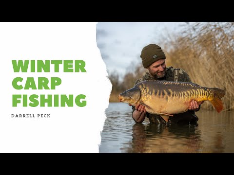 Winter Carp Fishing with Darrell Peck