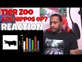 Tier Zoo - Are Hippos OP REACTION | DaVinci REACTS