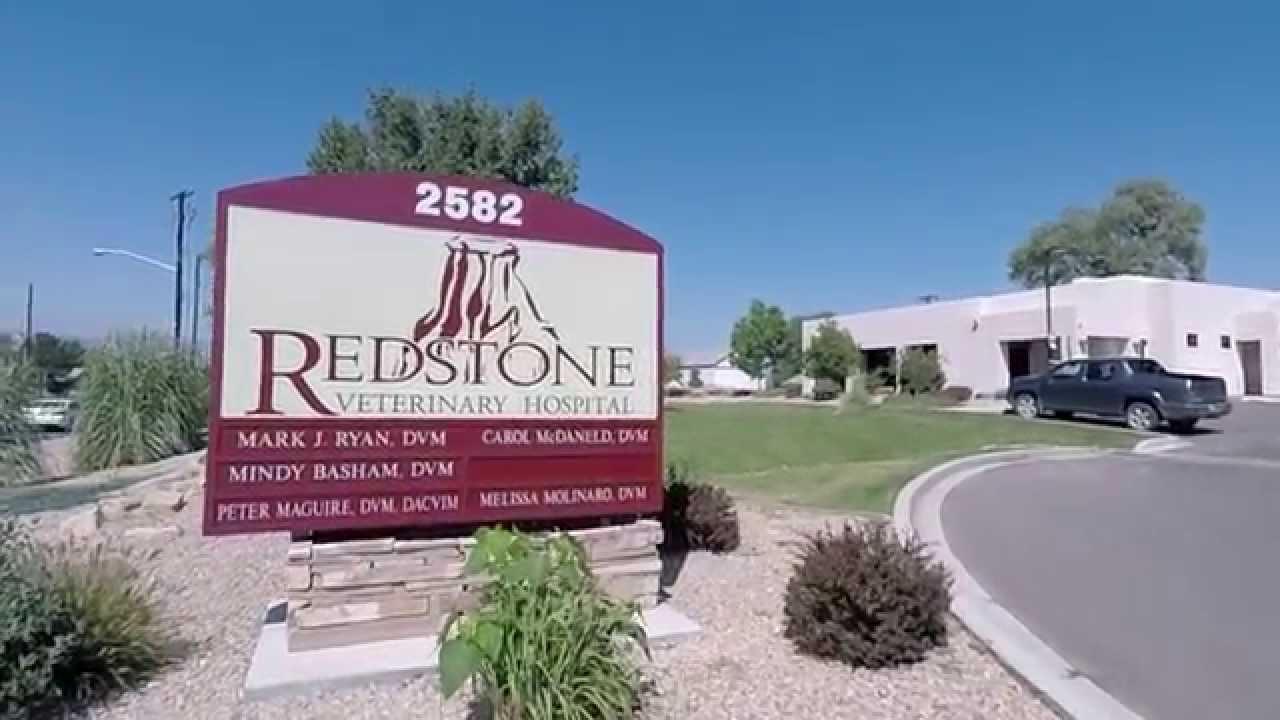 Video: GOPR4483 hyperlapse part1/2 1x adv - Redstone Veterinary Hospital