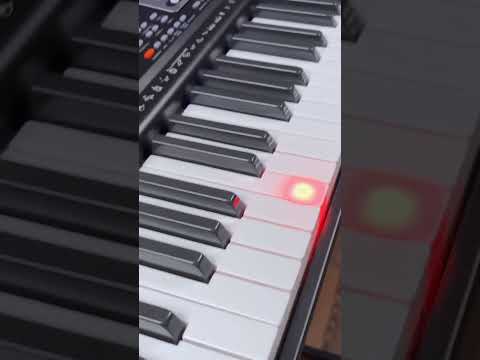 MUSTAR 61 Key Piano Keyboard Learning Keyboard Piano with Lighted Up Keys for Beginners