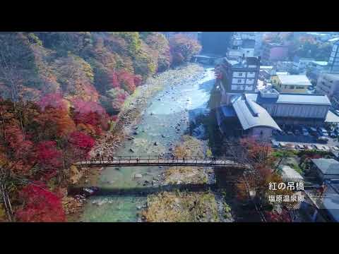 紅に染まる　紅葉　塩原　「紅の吊橋」　ドローン空撮