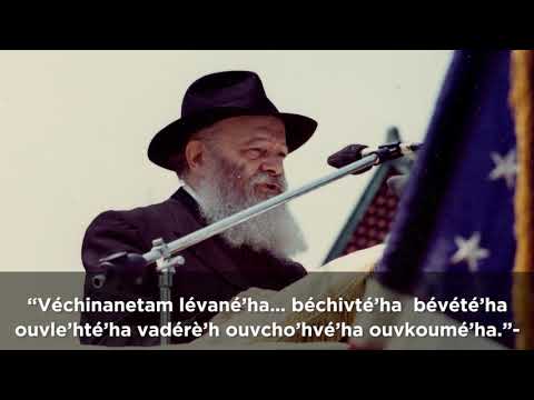 Mon Rabbi 75 | Véchinantam - 12 Psoukim