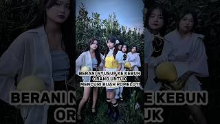 Download lagu Barbar banget mereka! #shorts #kisah #kocak mp3 Download lagu Barbar banget mereka! #shorts #kisah #kocak mp3
