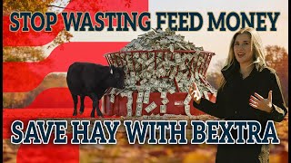Bextra Heavy Feeders