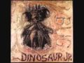 Dinosaur Jr - Keep The Glove 