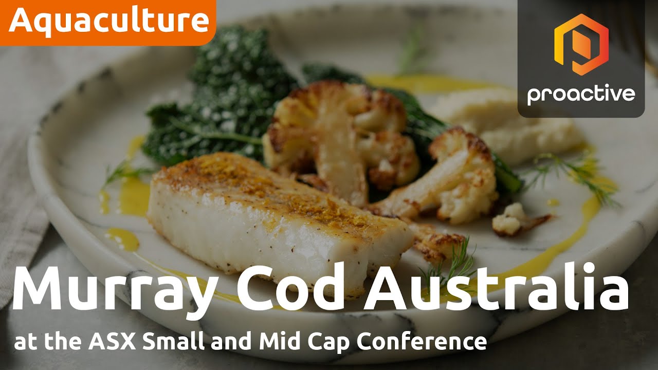 Murray Cod Australia turns profit and targets global expansion - ASX SMIDcaps